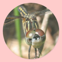 "Dragonfly Smile" Sticker Sheet