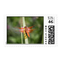 Dragonfly Stamp