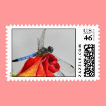 dragonfly stamps