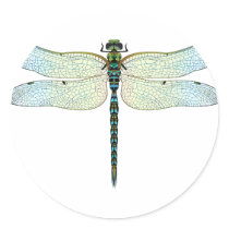 DragonFly Round Sticker