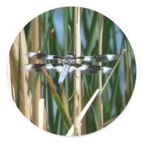 Dragonfly stickers by codfishlady Dragonfly stickers