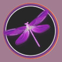 dragonfly stickers