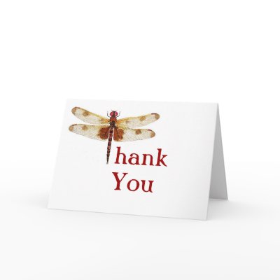 thank you dragonfly 