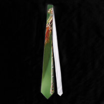 Dragonfly tie