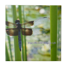 Dragonfly Tile