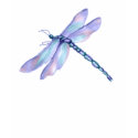 Dragonfly t-shirts