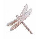 Dragonfly t-shirts