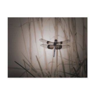Dragonfly - Vintage look Post Card