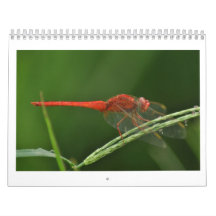 Dragonfly Wall Calendars