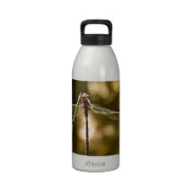 DRAGONFLY'S FIRST FLIGHT REUSABLE WATER BOTTLE