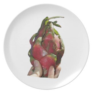 Dragonfruit held in fingers photo