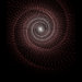 Ladies Destroyed T-Shirt