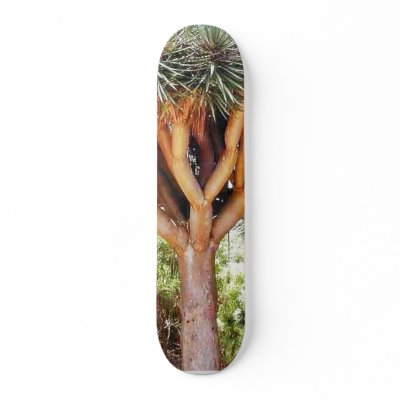 Dragons Blood Trees Skate Deck by lifesphere