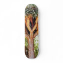 Dragons Blood Trees skateboards