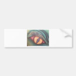 dragons eye bumper sticker