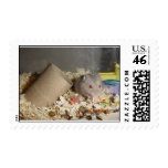 Dragons have to eat to postage stamps