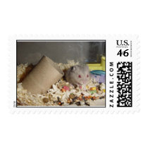 Dragons have to eat to postage by trixster1968 Dragons have to eat to postage