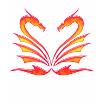 DRAGONS HEART t-shirts by dgpaulart DRAGONS HEART t-shirts