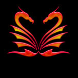 DRAGONS HEART T-SHIRT