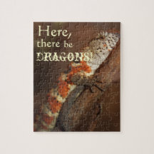 Dragons, Orange Lizard Puzzles