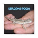 Dragons Rock! - magnet