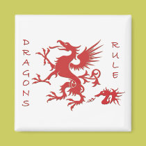 DRAGONS RULE magnets