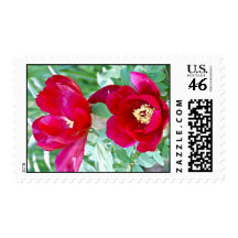Dragons, Tigers and Peonies IV Stamps