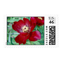 Dragons, Tigers and Peonies VI Postage Stamp