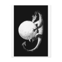 Dragon's Treasure postcards
