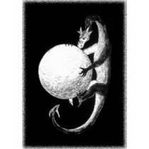 Dragon's Treasure t-shirts