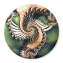 Dragonwings magnets
