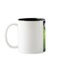 Dragonwings mugs