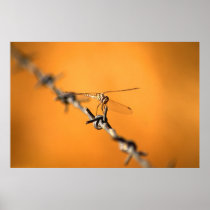 Dragonwire Print
