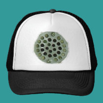 Drain hats