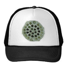 Drain Hats