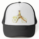 draisin hat