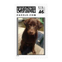 Drake postage