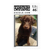 Drake postage