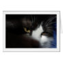 Drama Cat Eyes Greeting Card