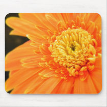 Drama Queen mousepads