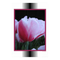 Drama Queen posters by MDBerry Drama Queen posters