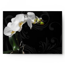 Dramatic Black and White Orchid Flower with Swirl Envelopes