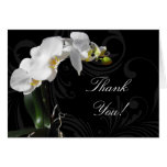Dramatic Black and White Orchid Thank You Cards cards