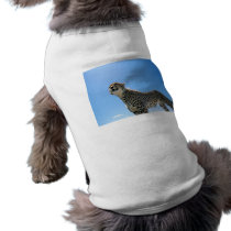 Dramatic Cheetah pet clothing by alternateworlds Dramatic Cheetah pet clothing
