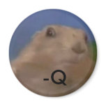 Dramatic chipmunk - q magnets