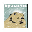 Dramatic Look Prairie Dog
