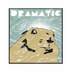 Dramatic Look Prairie Dog