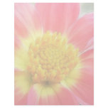 Dramatic Dahlia letterhead