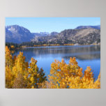 DRAMATIC FALL COLORS AT JUNE LAKE POSTER