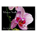 Dramatic Orchid  - Placecard